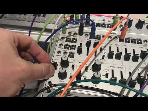 Manis Iteritas Paning with WMD PM