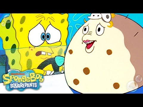 スポンジボブは夫人パフと彼のボートテストに失敗しますか？スポンジボブ (SpongeBob Fails His Boating Test w/ Mrs. Puff ? SpongeBob)