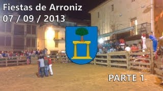 preview picture of video 'Fiestas de Arroniz 2013 - Vacas nocturnas - Parte 1 de 9'