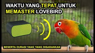Download lagu Waktu Dan Durasi Memaster Lovebird Yang Paling Baik Dan Efektif mp3