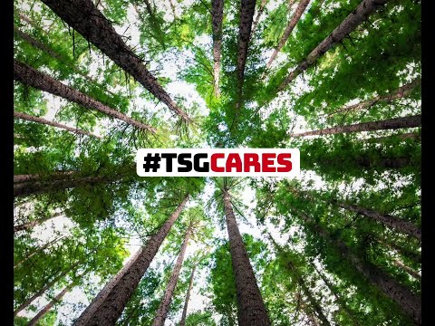 Eco League at Ten Square Games