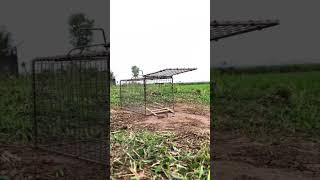 Download lagu Perangkap burung Cendet#shorts mp3