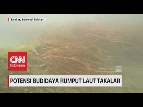 Ketika seorang anggota ereksi menjadi kurang dari itu Kebanyakan obat efektivnost untuk potensi