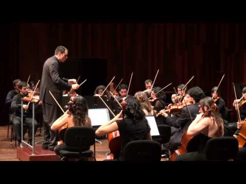 Beethoven 7th Symphony - 2nd movement - Allegretto
