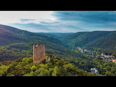 Vlog Nr. 26 - Burgruine Rauheneck | Ausflug mit der DJI Mavic Mini