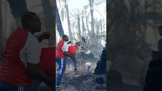 تلاحم بين السكان والسلطات لإخماد النيران بواحة تيكسلت ضواحي طاطا thumbnail