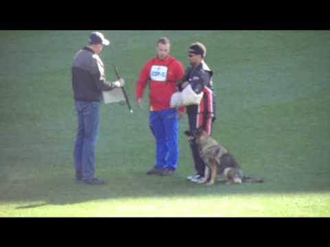 Wusv  2013 ESP5 C79 Manuel Mata y Yanny de Parayas