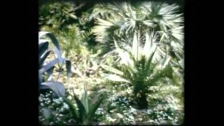 Villa Durazzo Pallavicini-tutti i video