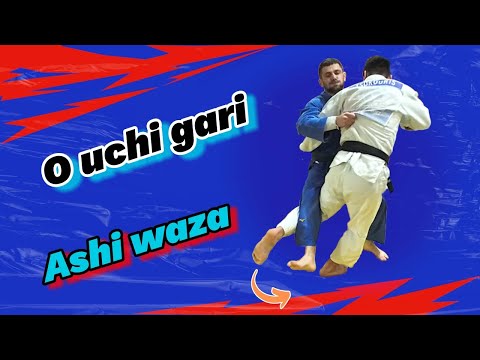 O - uchi - gari .  Variations and Combinations