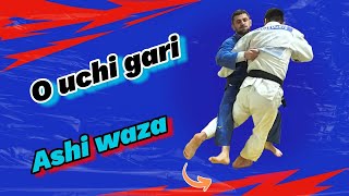 O - uchi - gari .  Variations and Combinations