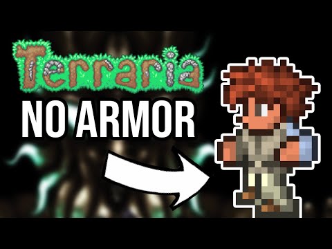 I beat Terraria without using Armor... pt 2