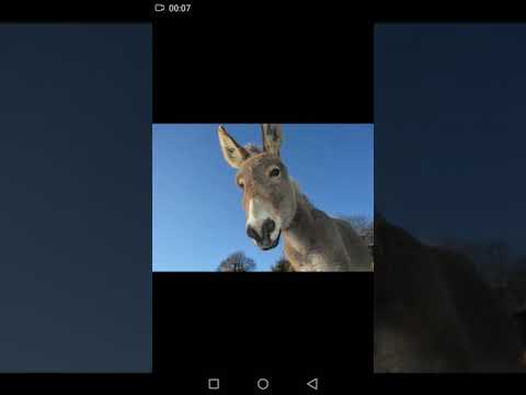 Слив личных фото Shark Leon4ik. КОНФЛИКТ. РАЗОБЛАЧЕНИЕ. МР$ЗЬ ВСЕГО РУССКОГО БС ЮТУБА.