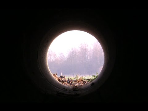 Fangjagd (trapping season) 2019/2020