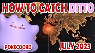 HOW TO CATCH DITTO IN POKEMON GO JULY 2023