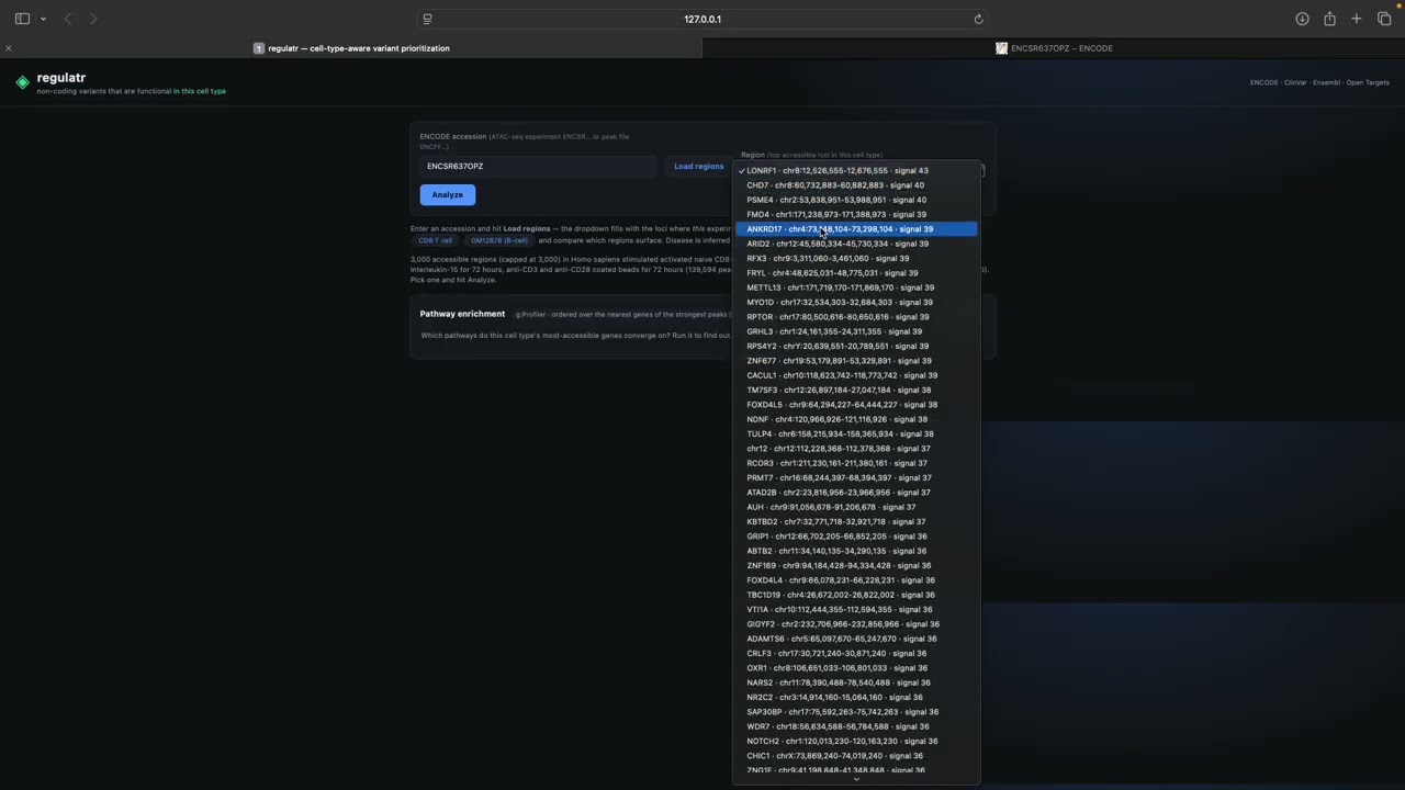 chroma-code project preview