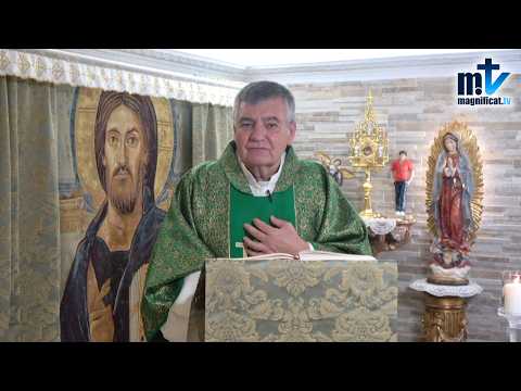 "Seguir a Cristo y Cargar con la Cruz" | Homilía, XXII Domingo del Tiempo Ordinario (30-08-2026) | P. Santiago Martín, FM