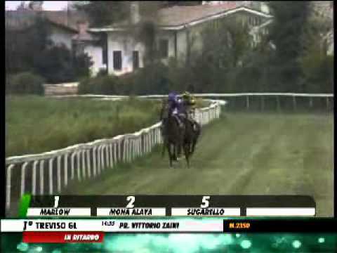 03/04/2014, Treviso , Premio Vittorio Zaini