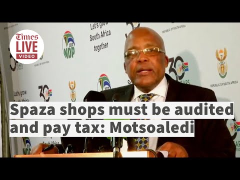 'Spaza shops must be audited and pay tax' Home affairs minister on new proposals to SA immigration