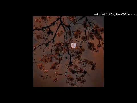 [free for profit] skele x sewerperson type beat - "revenge"