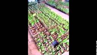 Read Between The Lines