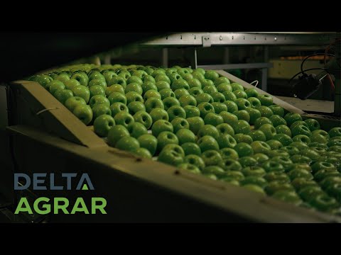 Delta Holding - Apple Production (Commercial Video)