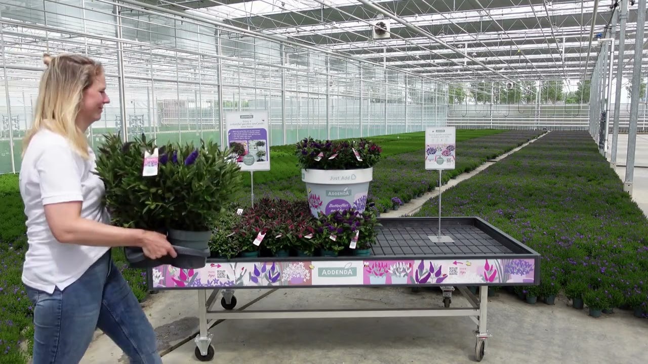 Addenda -  Instructievideo Hebe Addenda tuincentrum tafel opbouw