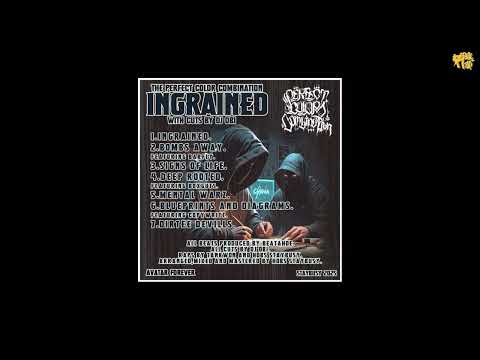 The Perfect Color Combination - Signs Of Life [prod by Beatahoe]