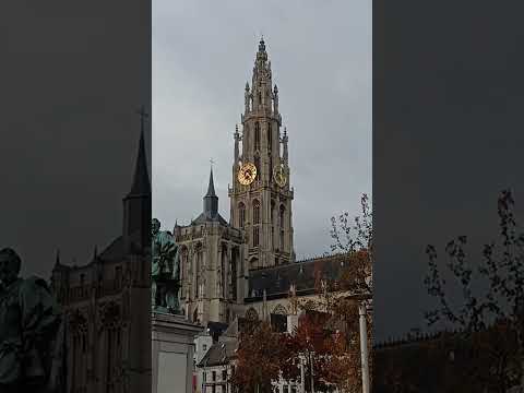 Cathedral of our lady Antwerp, Belgium 🇧🇪#belgium #travel #vlog #desi #history