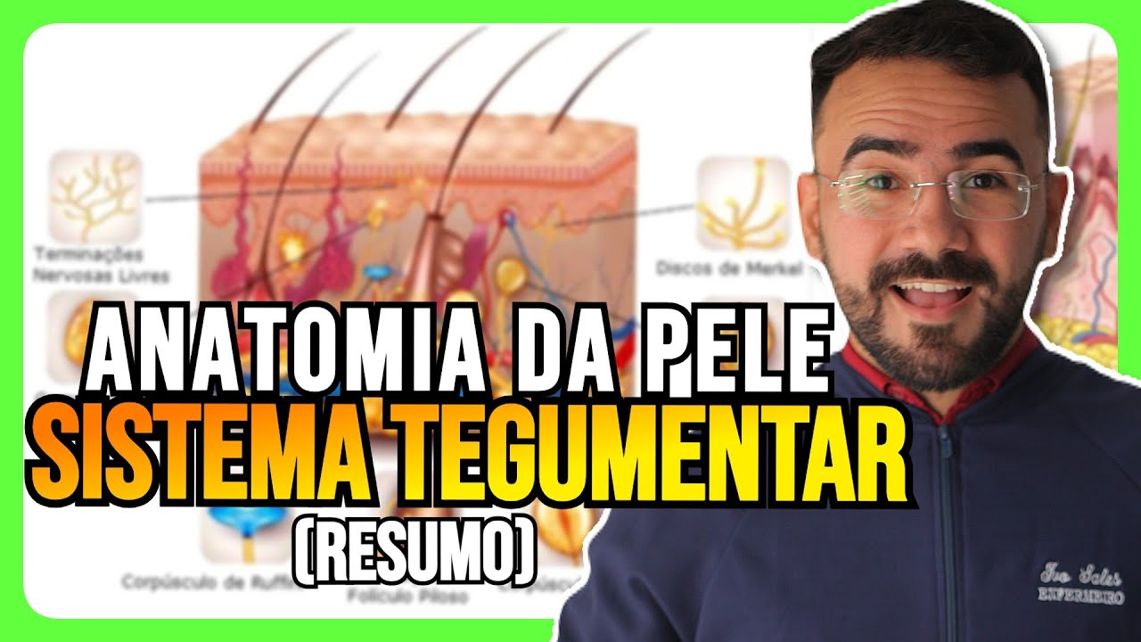 SISTEMA TEGUMENTAR: RESUMO DA ANATOMIA DA PELE E ANEXOS