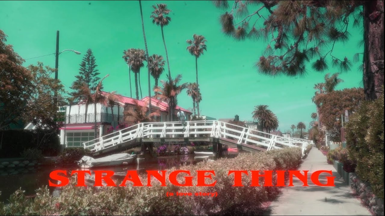 Promotional video thumbnail 3 for Riggy Marz