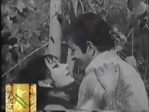 Ang Ang De Wich Masti Ban Ke Nachay Tera payar