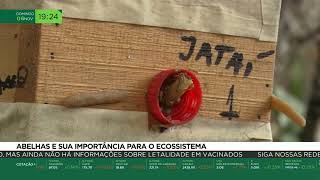Miniatura do vídeo