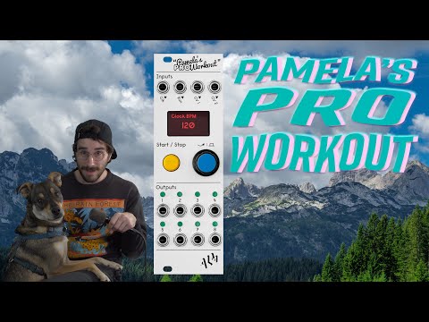 Pamela's PRO Workout by ALM Busy Circuits : First Look + Thoughts