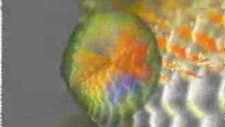 Ratcapa - Guma (1998)