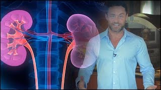 Weekend Kidney Detox (Easy)  - Saturday Strategy