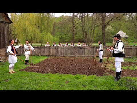 Folcloriștii - Ce-am auzit noi asară