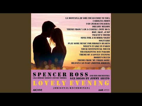 Theme From 'My Three Sons'