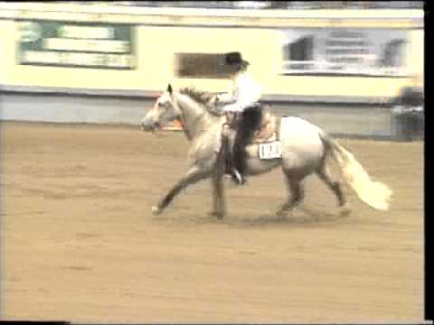 Ezymccoy - Nrha Futurity Non Pro Oklahoma 1994