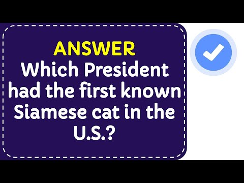 Which President had the first known Siamese cat in the U.S.?