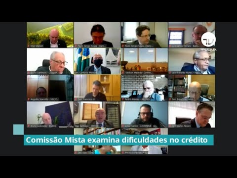 Comissão discute dificuldade de acesso ao crédito por parte das empresas - 07/07/20