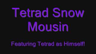 Tetrad Mousing in the Snow!  2/9/2018