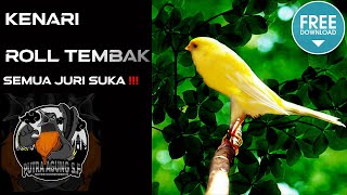 Download lagu Masteran Kenari Roll Tembak- gampang ditiru (Jeda Suara Air) mp3