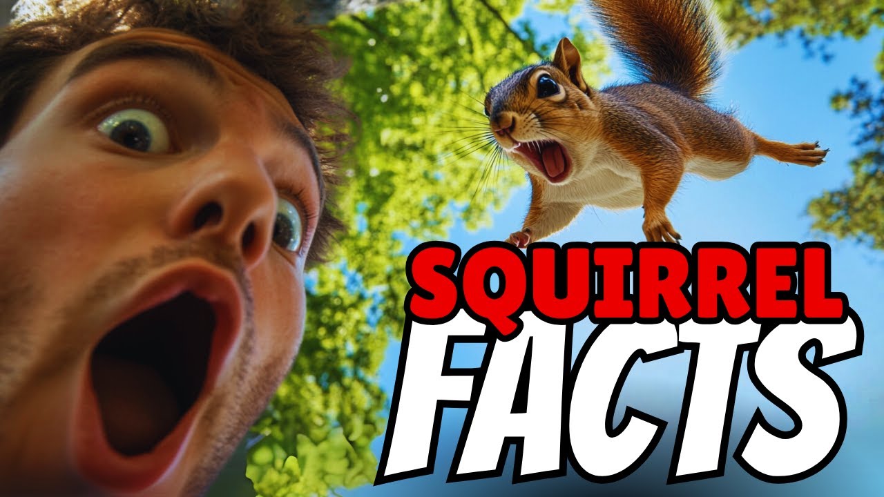 20 Squirrel Facts That Explain Their Weird Behavior