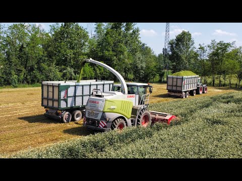 TRITICALE 2021| JAGUAR 970 + Capello Spartan 610| Fendt 824 x2, 926 Vario| Deutz Fahr 7250 TTV