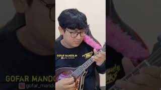 Download lagu HARUSKAH BERAKHIR - MANDOLIN INSTRUMENT #gofarmandolin #mandolin #mandolininstrument mp3 Download lagu HARUSKAH BERAKHIR - MANDOLIN INSTRUMENT #gofarmandolin #mandolin #mandolininstrument mp3