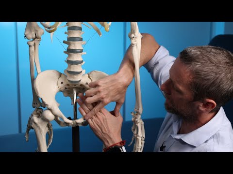 Bony abdomen landmarks (anatomy)