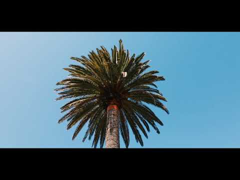 SOLD - 126 Arney Road, Remuera - Leila MacDonald and David MacDonald