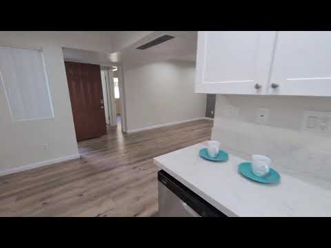 Cypress | Drifwood Tour