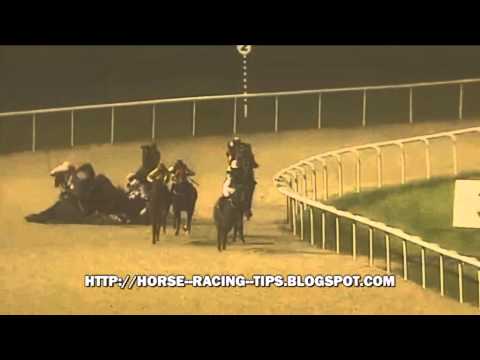 download lagu mp3 mp4 Wolverhampton Horse Racing Live, download lagu Wolverhampton Horse Racing Live gratis, unduh video klip Wolverhampton Horse Racing Live