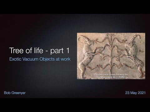 Tree of life - Exotic Vacuum Objects at work - Part 1